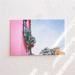 제주사진엽서_너는 소중해