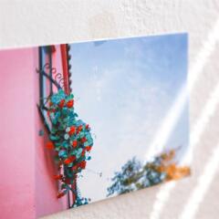 제주사진엽서_너는 소중해