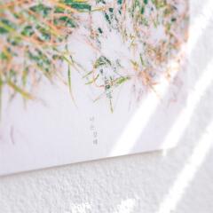 제주사진엽서_너는 강해