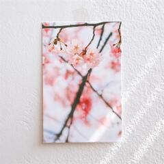 제주사진엽서_너는 사랑스러워