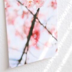 제주사진엽서_너는 사랑스러워