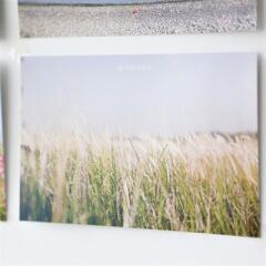 감성사진엽서_참 아름다워라