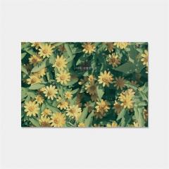 감성사진엽서_더욱 사랑받기를