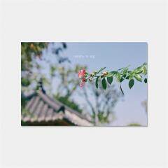 감성사진엽서_사랑받는 자처럼