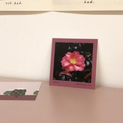 POSTCARD_ 제주 필름사진 정방형