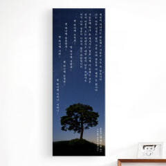 cw367-윤동주별헤는밤_노프레임