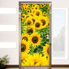 ii854-화사한해바라기꽃밭_현관문시트지