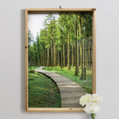 ij855-우드프레임액자_삼나무숲길(대형)