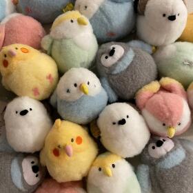 [선레몬] 뽀송이 잉꼬 펭귄 오목눈이 뱁새 인형