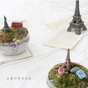 파리여행 테라리움 DIY