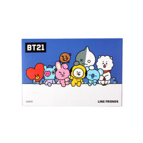BT21 1매 박스