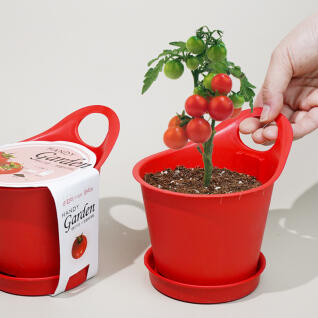 꿈쟁이 손잡이가 있어 편리한 핸디가든, 방울토마토
