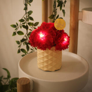 레드 러브 카네이션 LED 무드등
