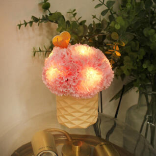 레드 러브 카네이션 LED 무드등