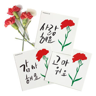 캘리그라피 카네이션 감사 카드 어버이날 스승의날
