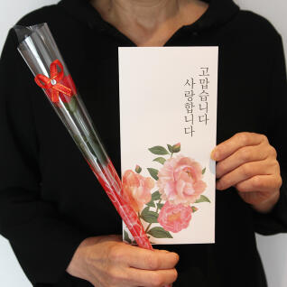 어버이날 스승의날 카네이션 꽃 & 용돈 봉투 세트
