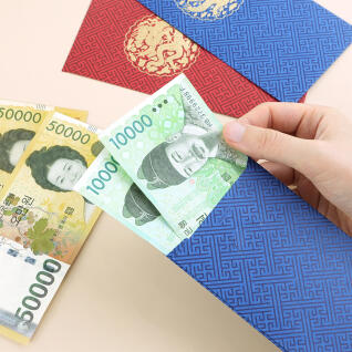 핑크풋 곤룡포 용돈봉투 5장세트