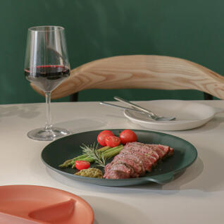 나인웨어 포레시리즈 라지 플레이트 2P