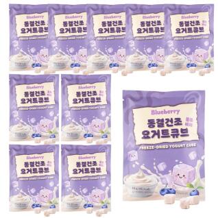 동결건조 블루베리 요거트 큐브 10개