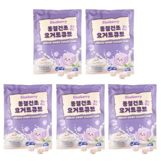 동결건조 블루베리 요거트 큐브 5개