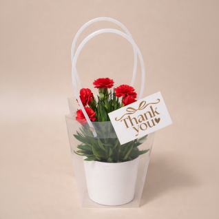 [가정의달] 카네이션 선물세트 (메시지카드+쇼핑백)