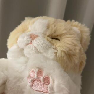 무릎인형★잠자는 쓰야쓰야 고양이(CR)