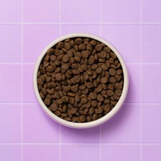 푸치앤머트 샤이니(피모) 2kg