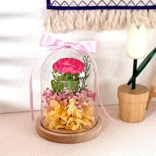 프리저브드 아크릴돔 카네이션 만들기 (전구 미포함)