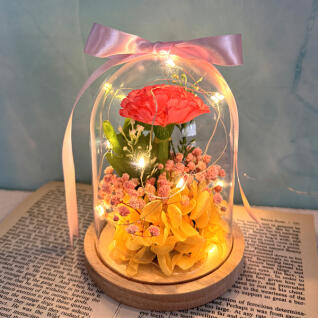 프리저브드 아크릴돔 카네이션 만들기 (전구 포함)