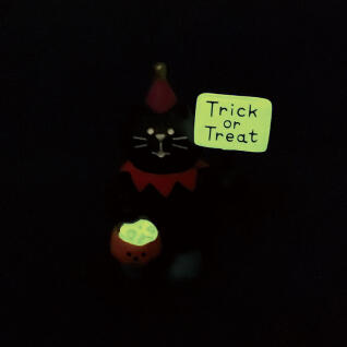 concombre trick or treat 고양이