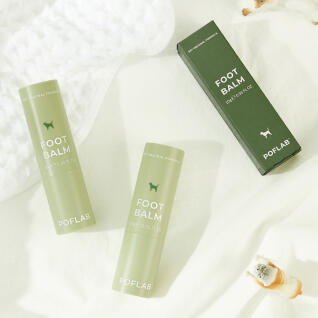 포프랩 강아지 고양이 보습 촉촉 무향 풋밤(스틱형)