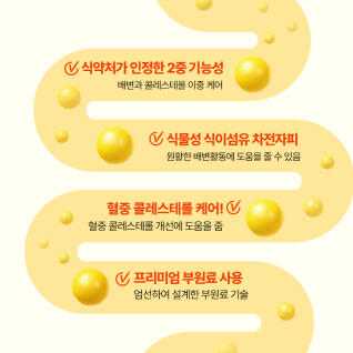 쾌변엔 쾌나나 20포 x 2박스 차전자피환 식이섬유