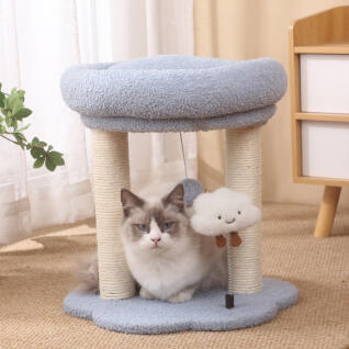 캣냐옹 퐁신퐁신 클라우드 스크래쳐