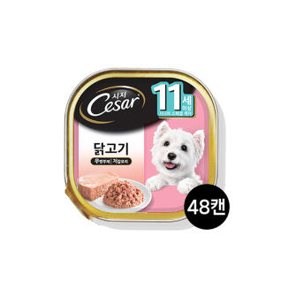 시저 11세이상 닭고기 100g 48개