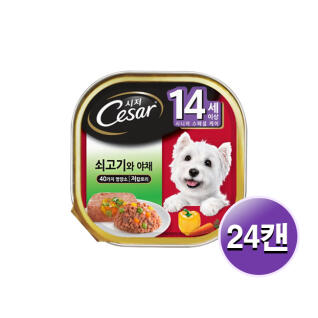 시저 14세 이상 쇠고기와 야채 100g 24개