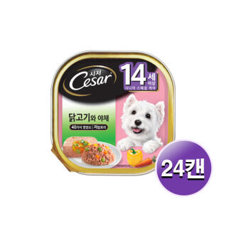 시저 14세 이상 닭고기와 야채 100g 24개