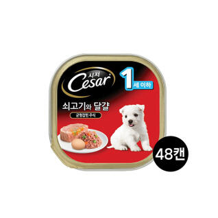 시저 퍼피 쇠고기와달걀 100g 48개