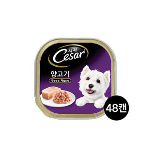 시저 양고기 100g 48개