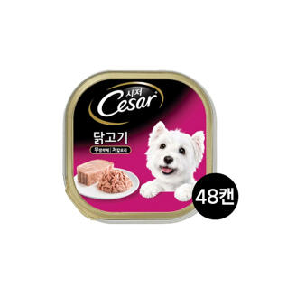 시저 닭고기 100g 48개