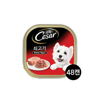 시저 쇠고기 100g 48개