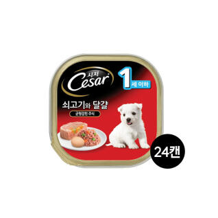 시저 퍼피 쇠고기와달걀 100g 24개