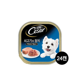시저 쇠고기와참치 100g 24개