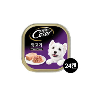 시저 양고기 100g 24개