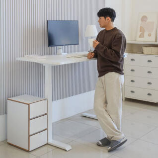 핏쳐 프리미엄 보쉬모터 모션데스크 B1 1600mm 2STEP