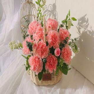 [카네르] 생화 꽃바구니 카네이션 핑크 중