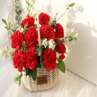 [카네르] 생화 꽃바구니 카네이션 레드 중