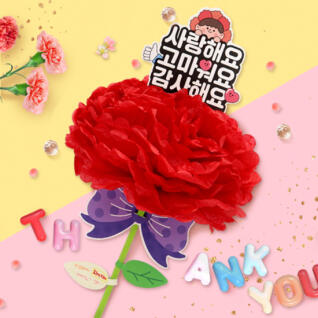 마음 담은 대왕 카네이션