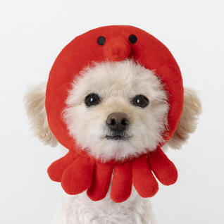 PET 쿠션모자 문어 