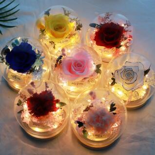 드라이플라워 프리저브드 LED 무드등 장미 카네이션