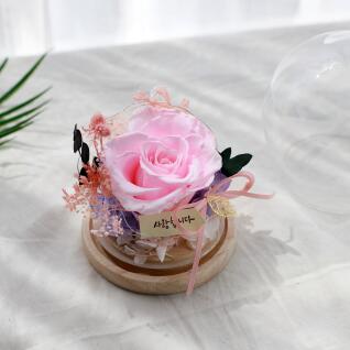 드라이플라워 프리저브드 LED 무드등 장미 카네이션